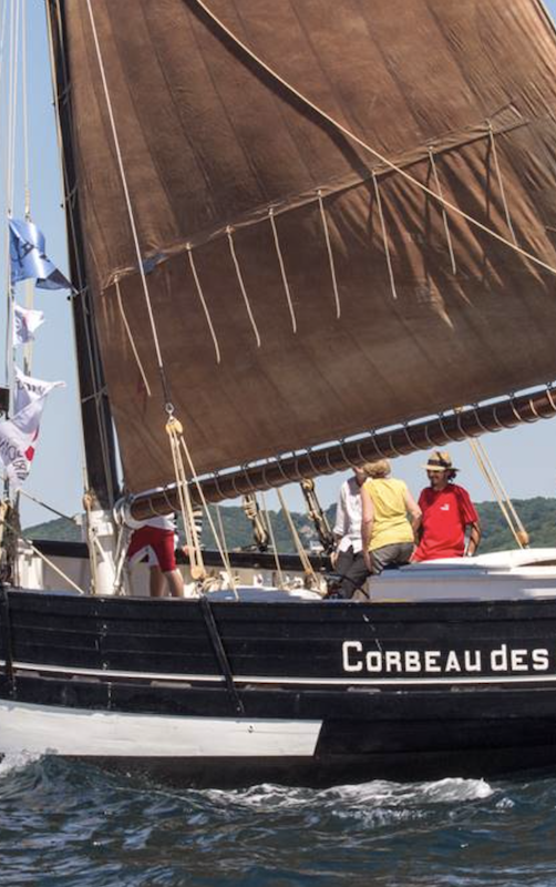 Vannes - bateau le Corbeau des mers