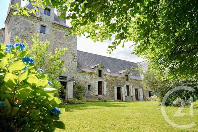 maison - TREFFLEAN - 56