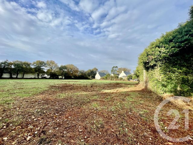 maison à vendre - 5 pièces - LA TRINITE SURZUR - 56 - BRETAGNE - Century 21 Agence De La Madeleine