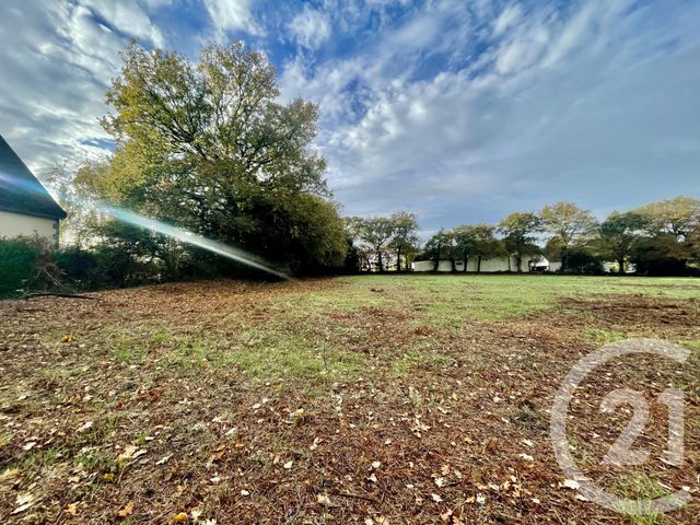 maison à vendre - 5 pièces - LA TRINITE SURZUR - 56 - BRETAGNE - Century 21 Agence De La Madeleine