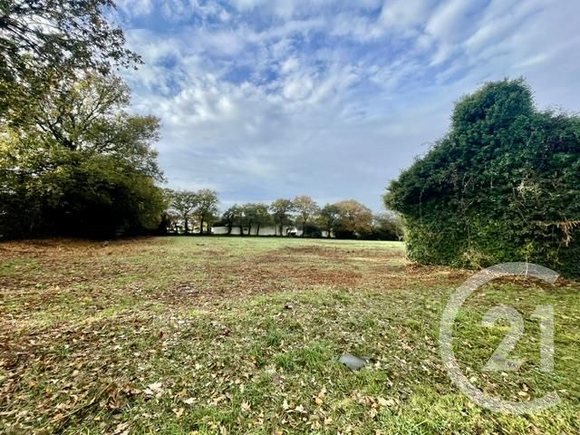 maison à vendre - 5 pièces - LA TRINITE SURZUR - 56 - BRETAGNE - Century 21 Agence De La Madeleine